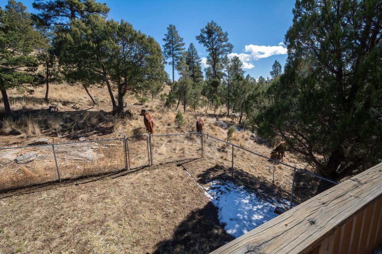 Howl At The Moon Villa Ruidoso Buitenkant foto